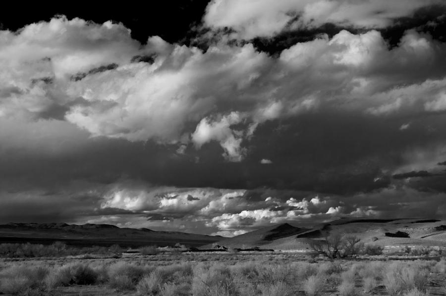 Desert Storm Photograph by Cat Connor