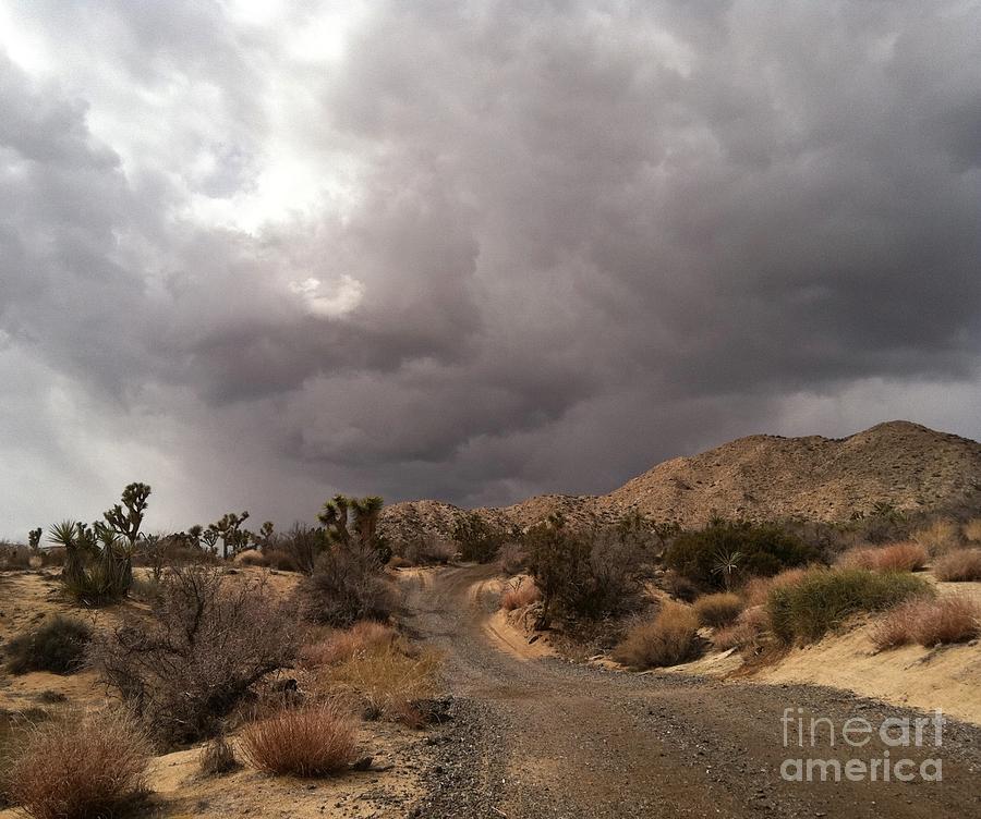 Desert Storm Comen Photograph