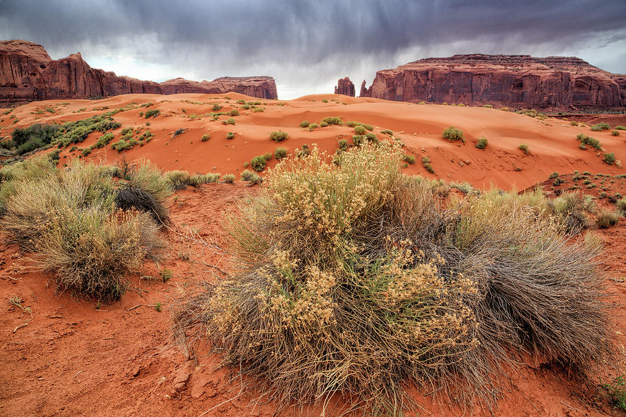 Desert Storm Photograph by Stuart L Gordon Photography