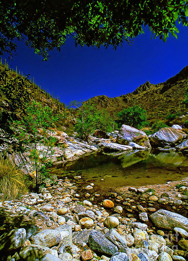 Desert Stream Ver 1 Photograph by Larry Mulvehill