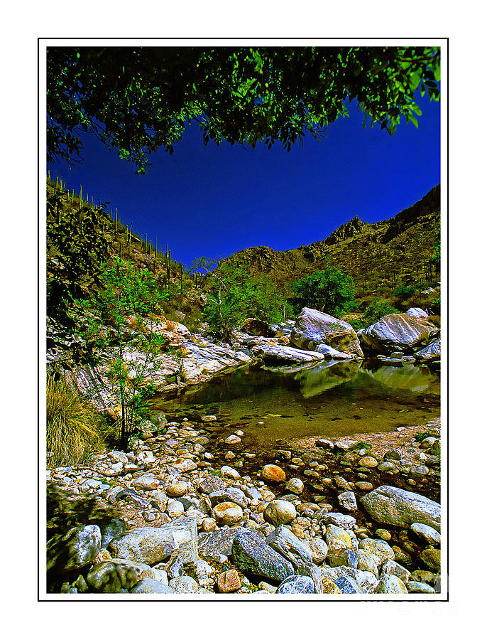Desert Stream Ver 2 Photograph by Larry Mulvehill
