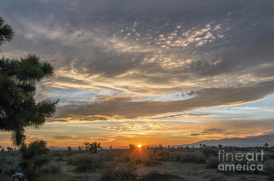 Desert Sunrise Photograph by Daniel Ryan