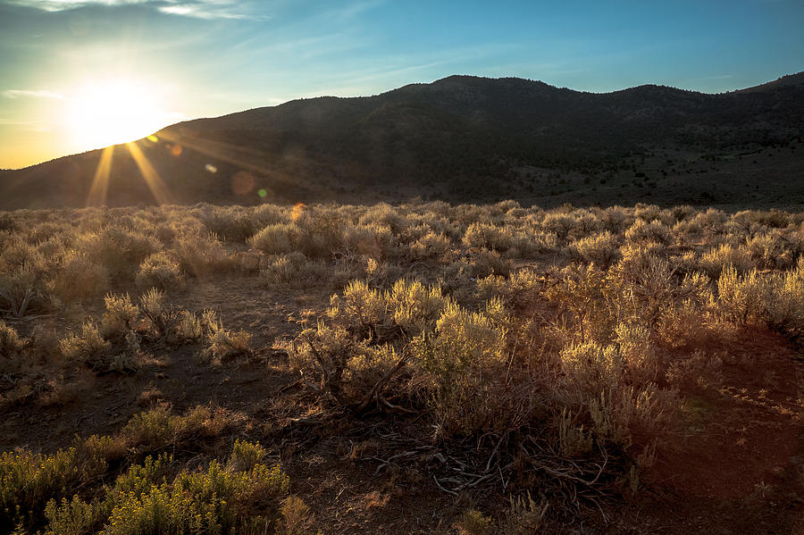 Desert Sunrise Photograph by Ryan Heffron