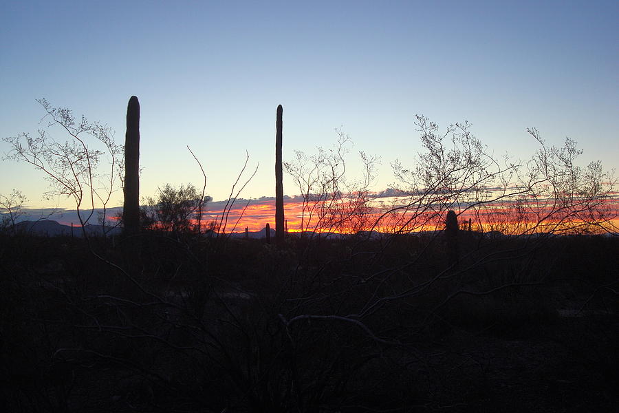 Desert Sunrise Photograph by Susan Woodward