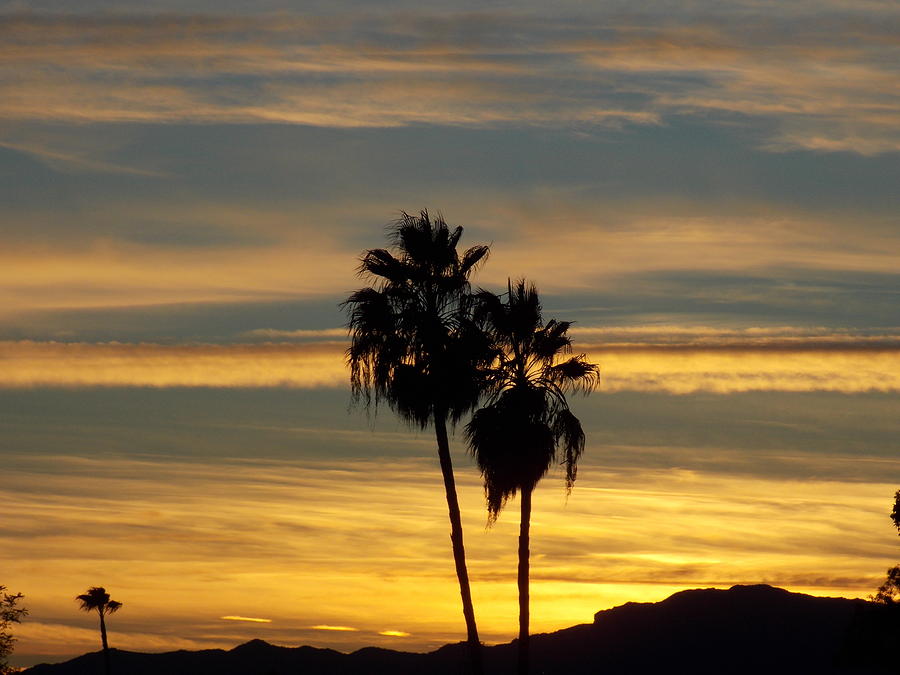 Desert Sunset 1  Photograph by Nina Kindred