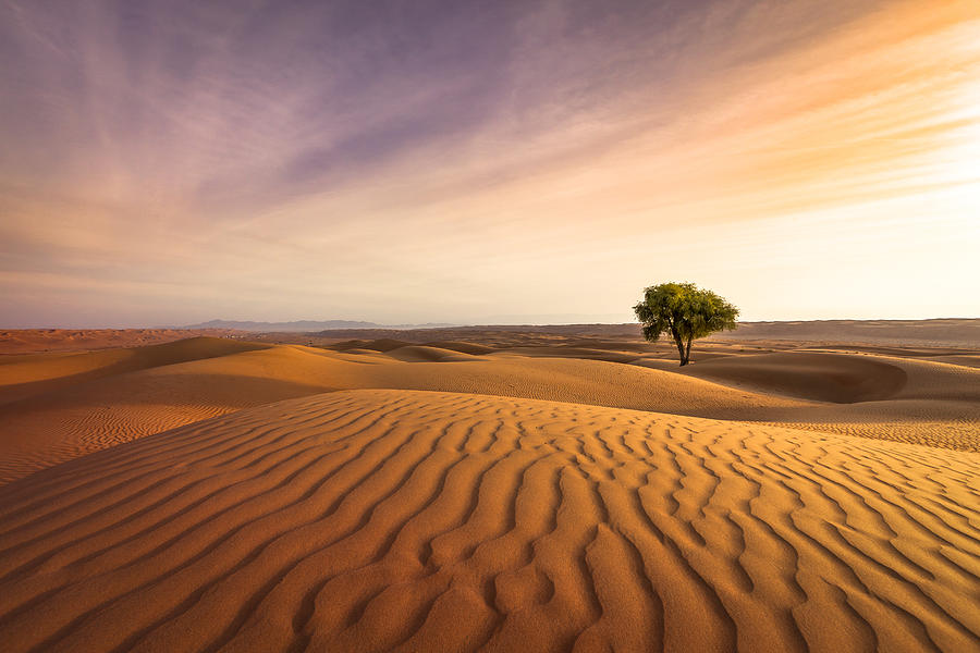 Desert Sunset Photograph by 35007