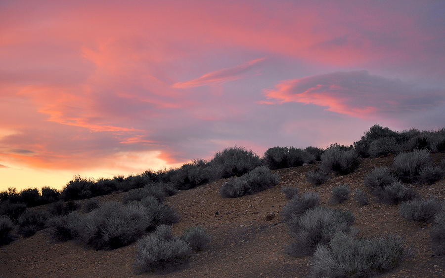 Desert Sunset Photograph by AJ  Schibig