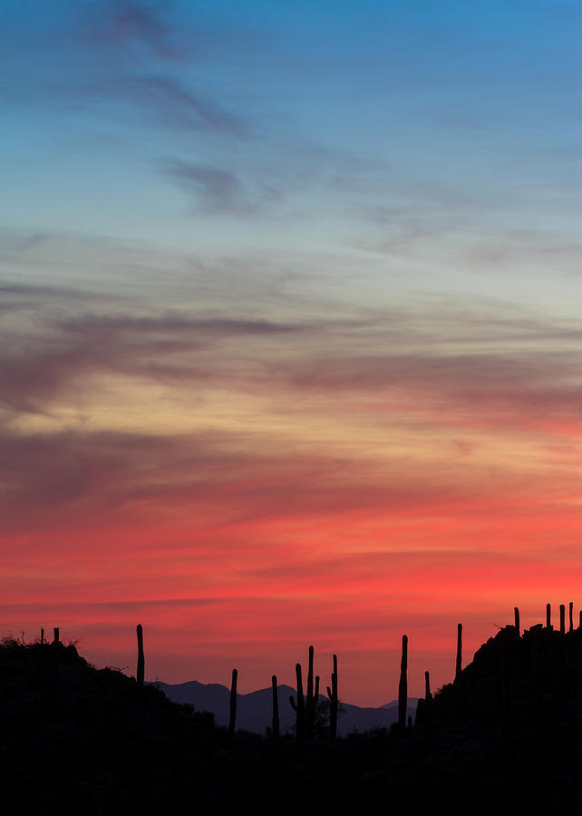 Desert Sunset Photograph by Bryan Bzdula