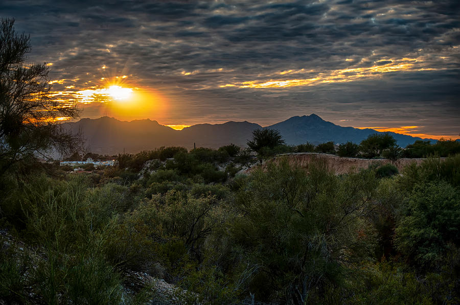 Desert Sunset Photograph by Dan McManus