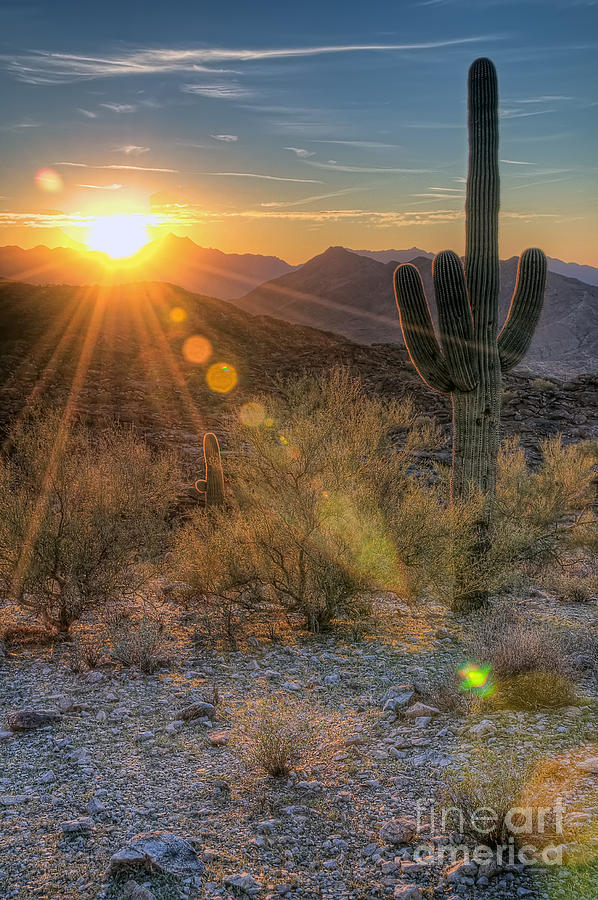 Desert Sunset Photograph by Eddie Yerkish