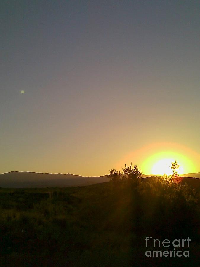 Desert Sunset Photograph by Fred Wilson