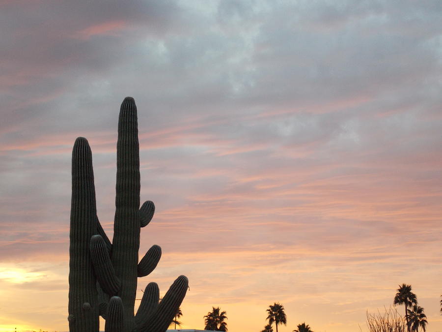 Desert Sunset From the Back Yard 1 Photograph by Nina Kindred