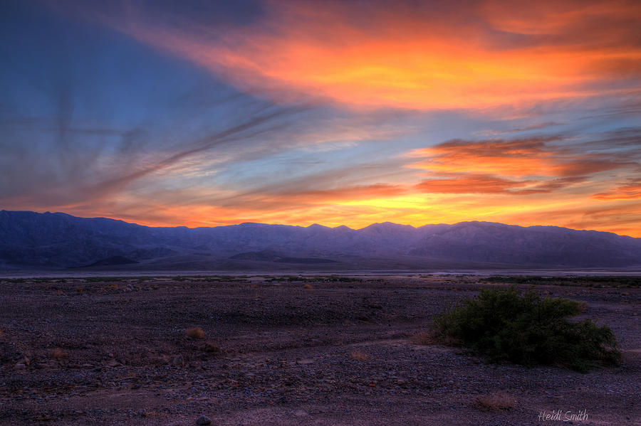 Sunset Photograph - Desert Sunset by Heidi Smith