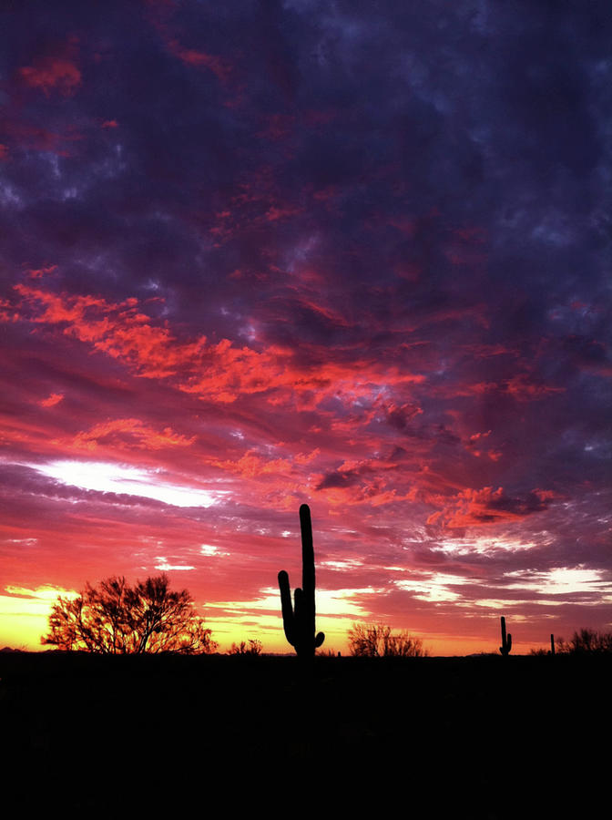 Desert Sunset Photograph by Inhauscreative