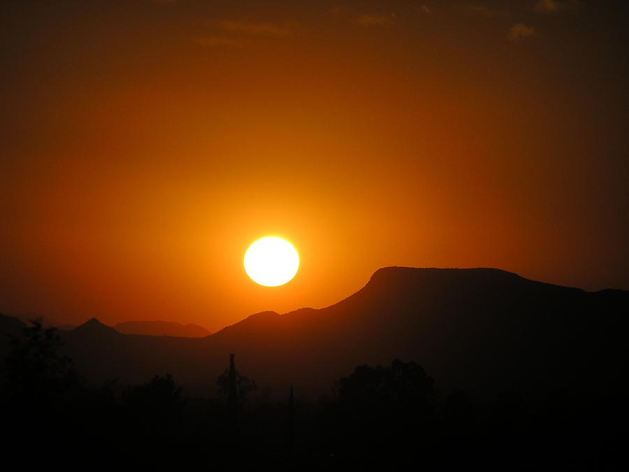 Desert Sunset Photograph by Jewels Hamrick