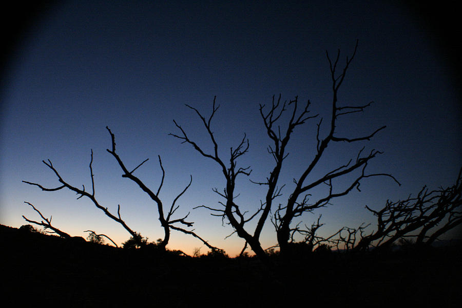 Desert Sunset Photograph by Jon Emery