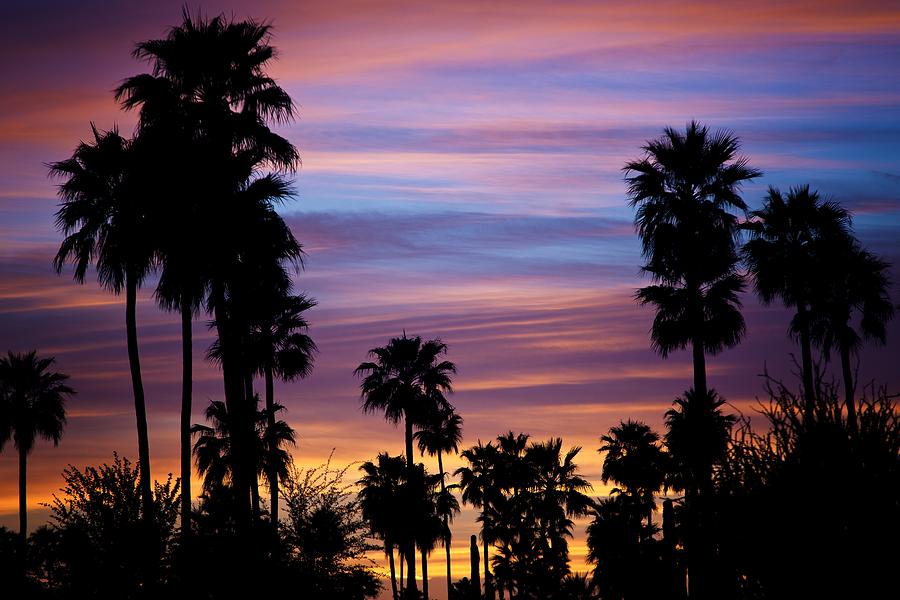 Desert Sunset Photograph by Robert Davis
