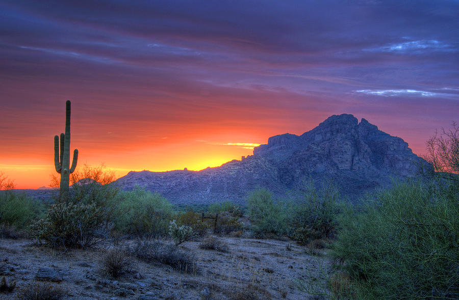Desert Sunset Photograph by Tam Ryan