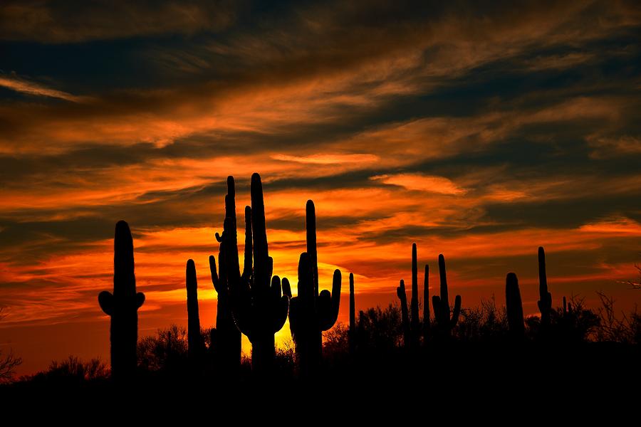Desert Sunset Photograph by Walt Sterneman