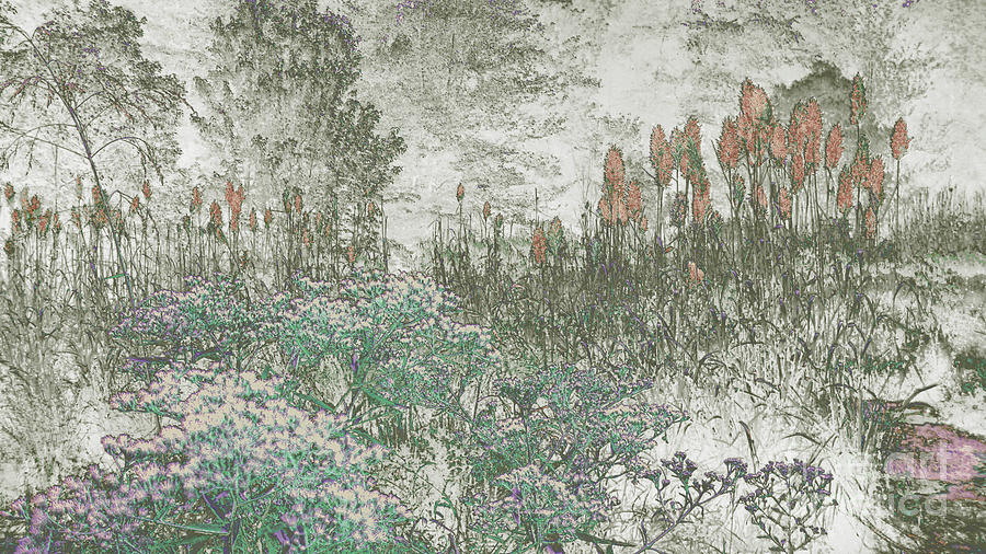 Peach Digital Art - Desert Swamp by Cheryl Raber