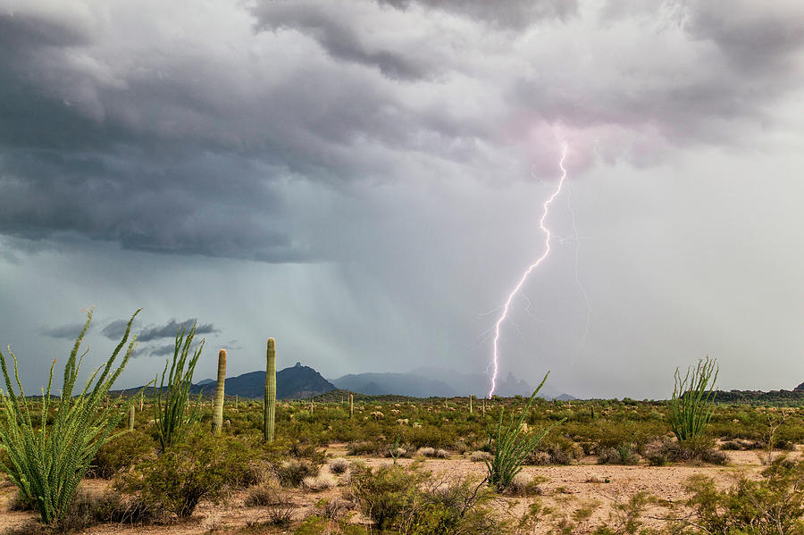 desert lightning storm
