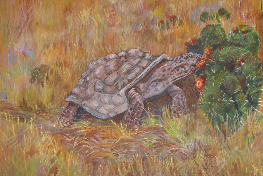 Desert Tortoise Eating Cactus Painting by Charme Curtin