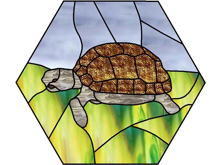 Desert tortoise Digital Art by Merrie Giles - Fine Art America