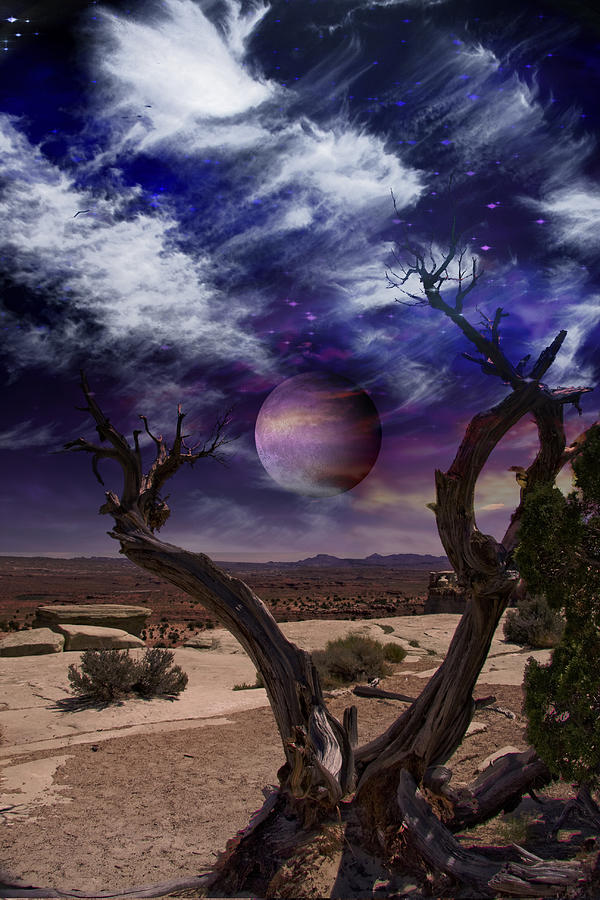 Desert Tree Digital Art by Bruce Rolff