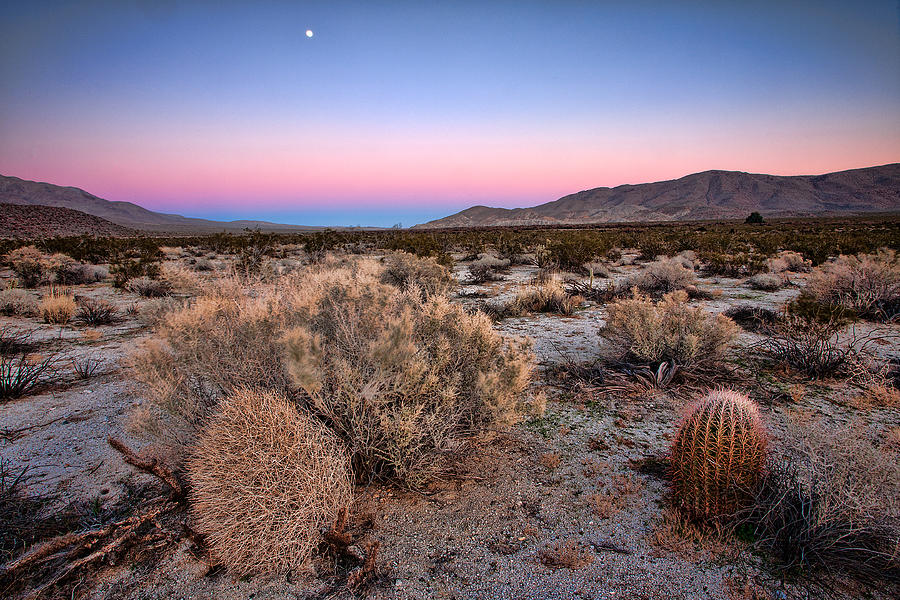 Desert Photograph - Desert Twilight by Peter Tellone