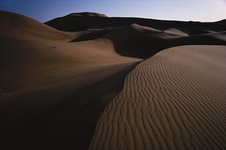 Desert, United Arab Emirates Photograph by Fred Maroon - Fine Art America