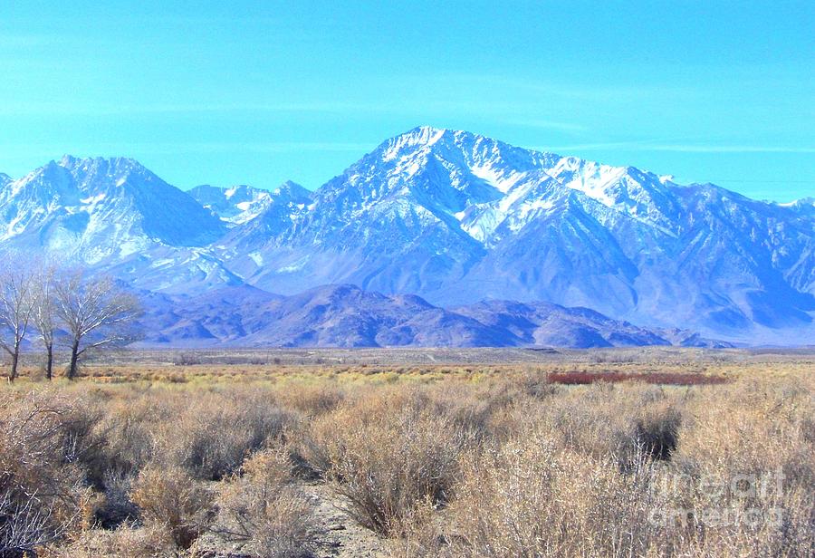 Desert verses Mountain Photograph by Marilyn Diaz - Fine Art America