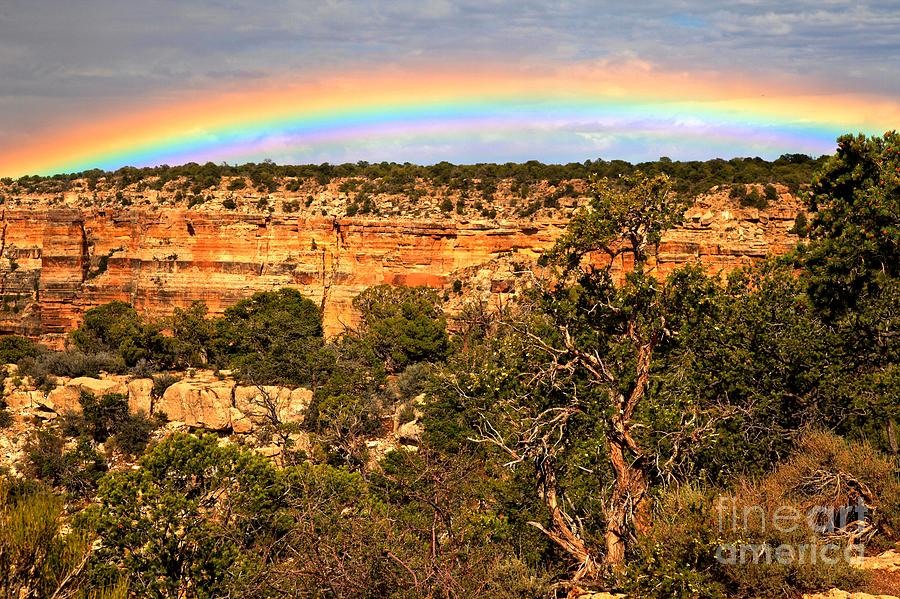 Desert View Rainbow Photograph by Adam Jewell