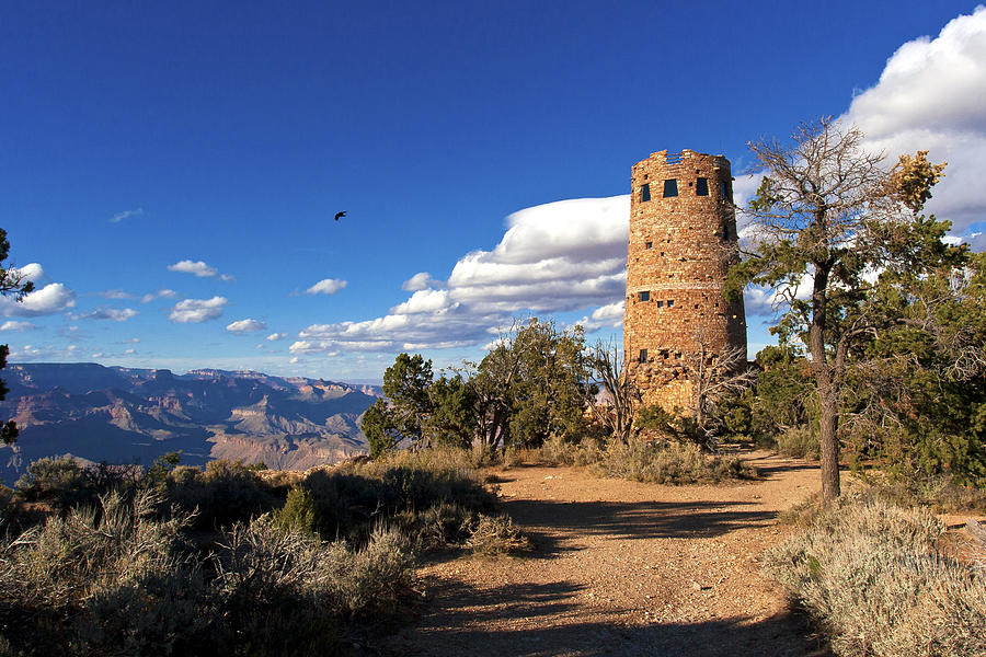 Desert View Tower Photograph by Lou Ford