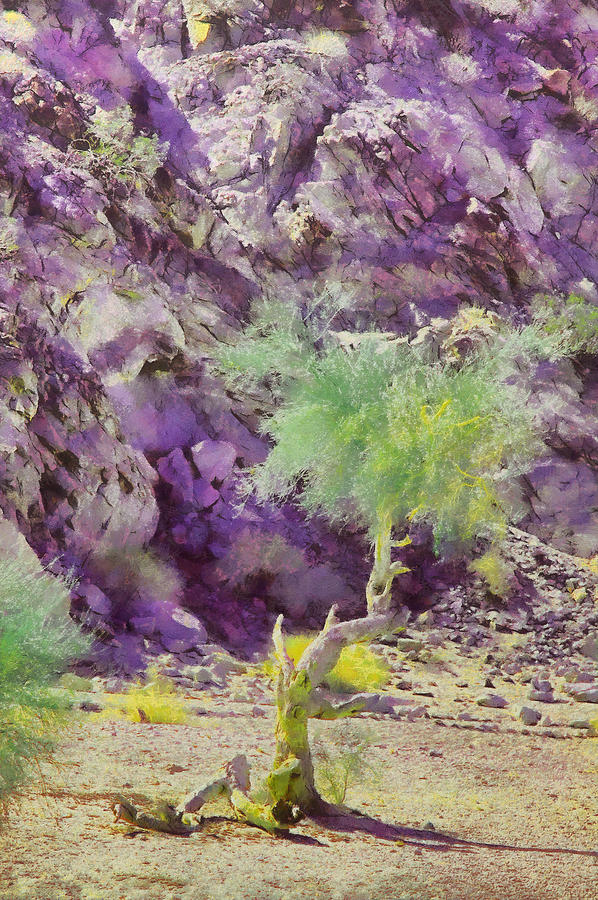 Desert Meets Mountains Painting by Viktor Savchenko