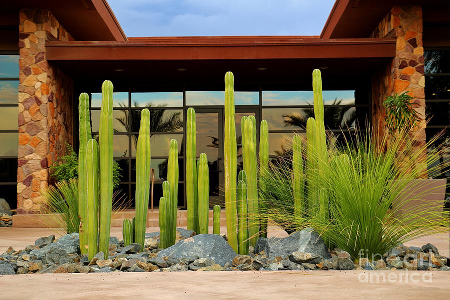 Desert Villa Photograph by Long Love Photography | Fine Art America