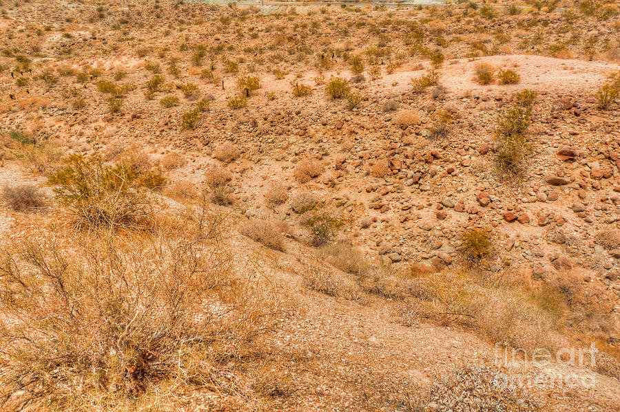 Desert Photograph - Desert Vista by Deborah Smolinske