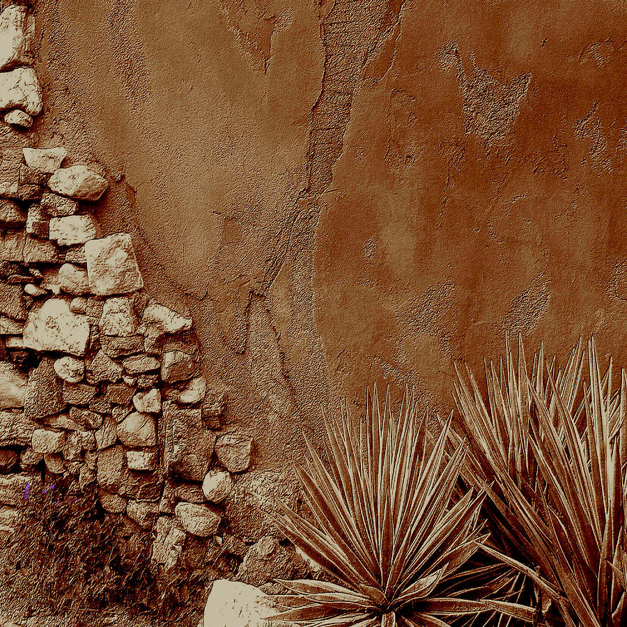 Desert Wall And Garden Digital Art By Sherri's - Of Palm Springs