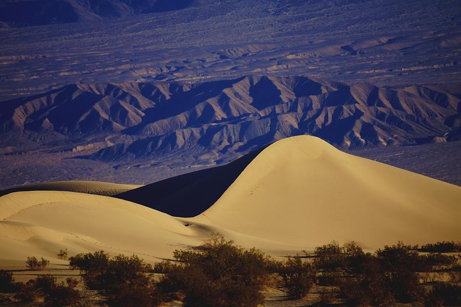 Mountain Photograph - Desert Wave by Michael Courtney