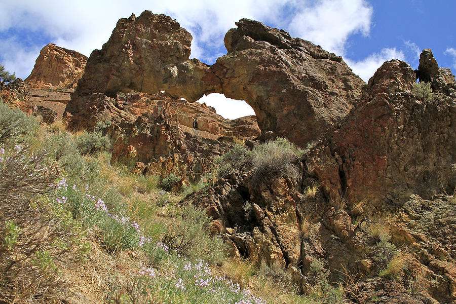 Grand Arch of Leslie Gulch Photograph by Ed Riche