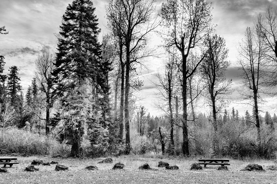 Deserted BW - Oregon Photograph by Belinda Greb