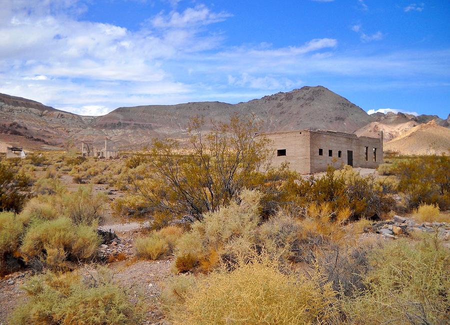 Deserted Desert Photograph by Marilyn Diaz - Fine Art America