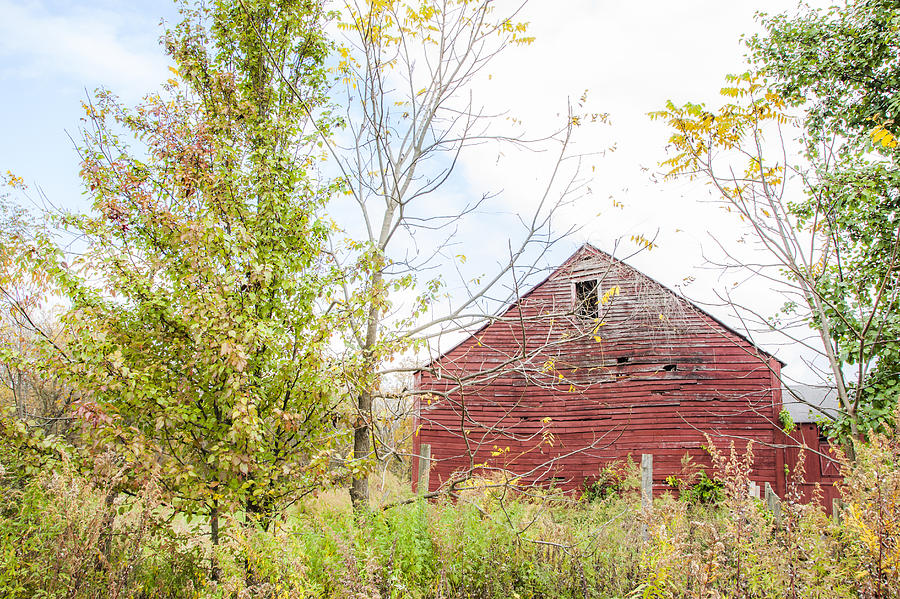 Deserted Red Barn Photograph by Erin Cadigan