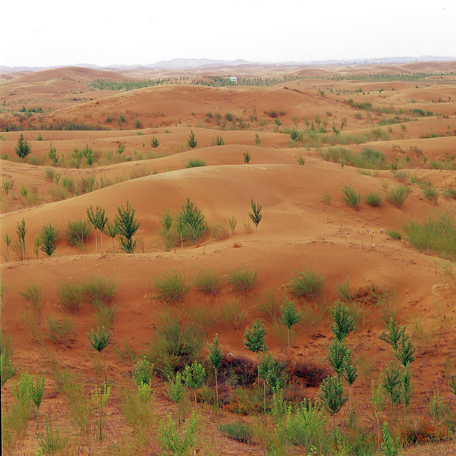 Desert,inner Mongolia,china Photograph by View Stock