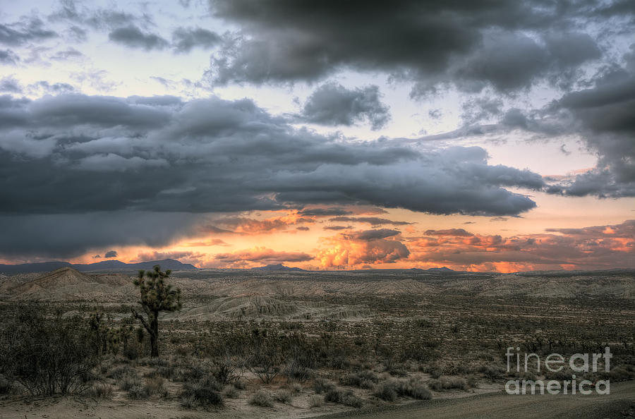 Deserts Last Light Photograph by Eddie Yerkish