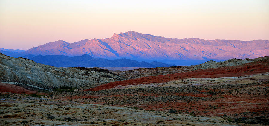 Nevada Desert work C Photograph by David Lee Thompson