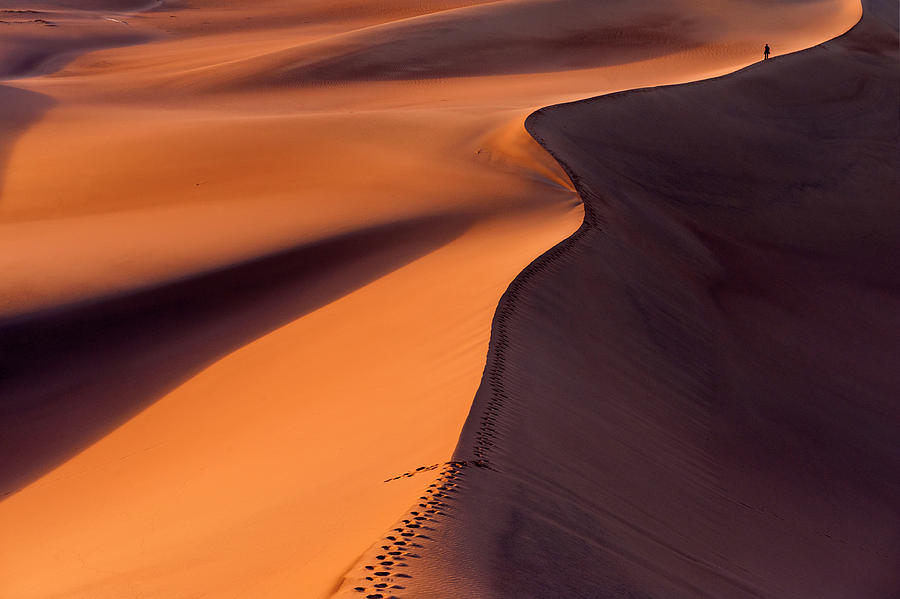 Desertwalk Photograph by Jure Kravanja