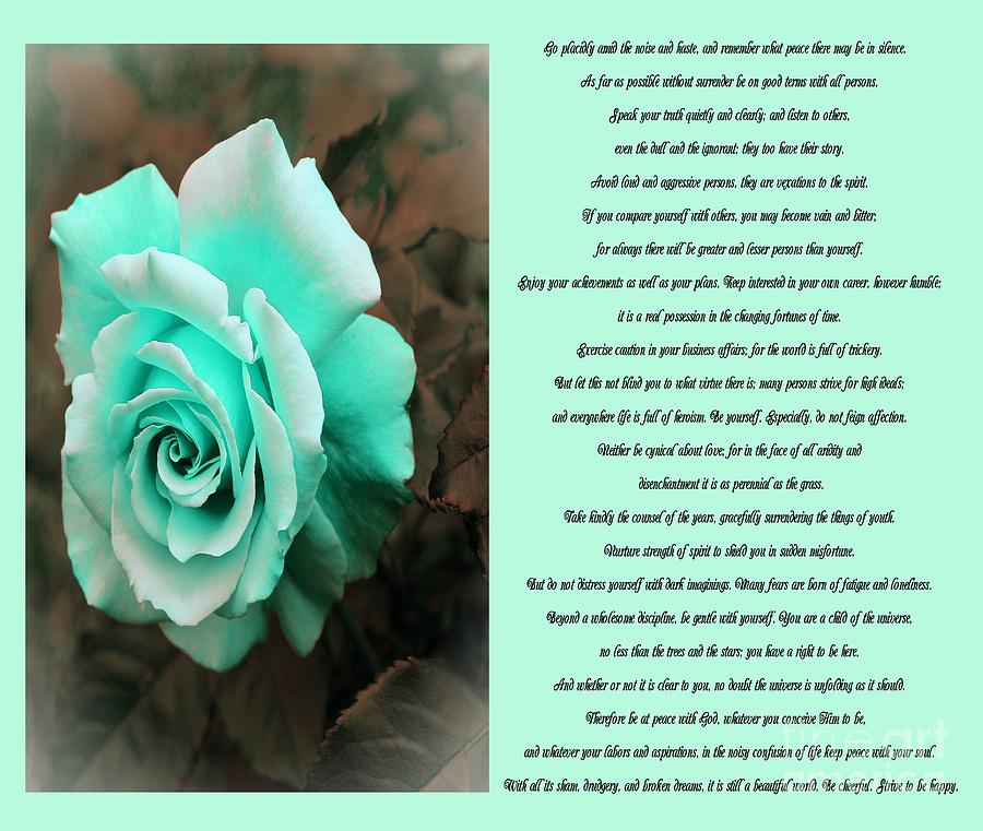 Desiderata Icy Blue Rose Sidebyside Photograph by Barbara A Griffin