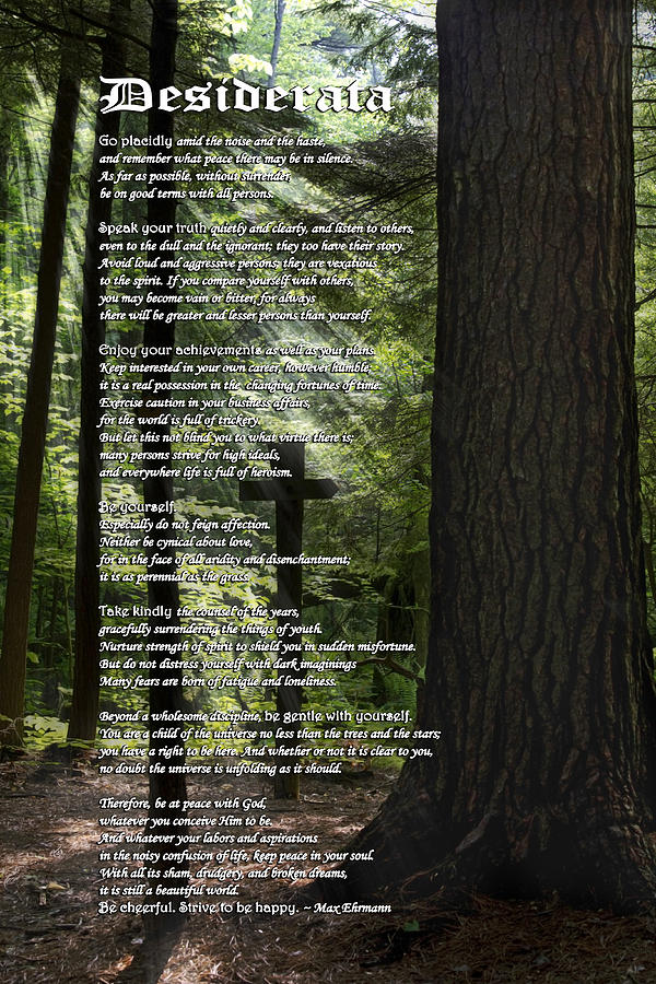 Desiderata Poem Mixed Media by Christina Rollo