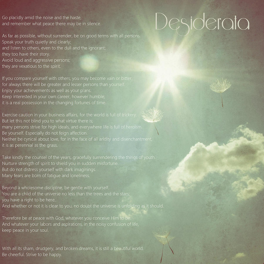 Nature Photograph - Desiderata Wishes by Marianna Mills