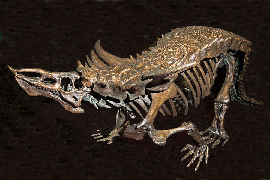 Desmatosuchus Dinosaur Photograph by Millard H. Sharp